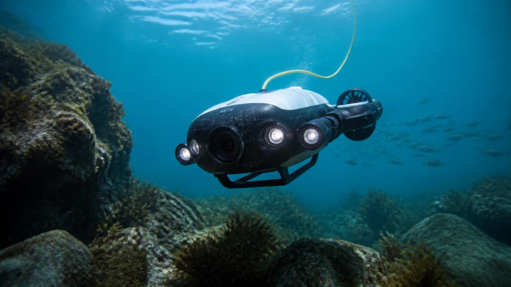 dron de pesca