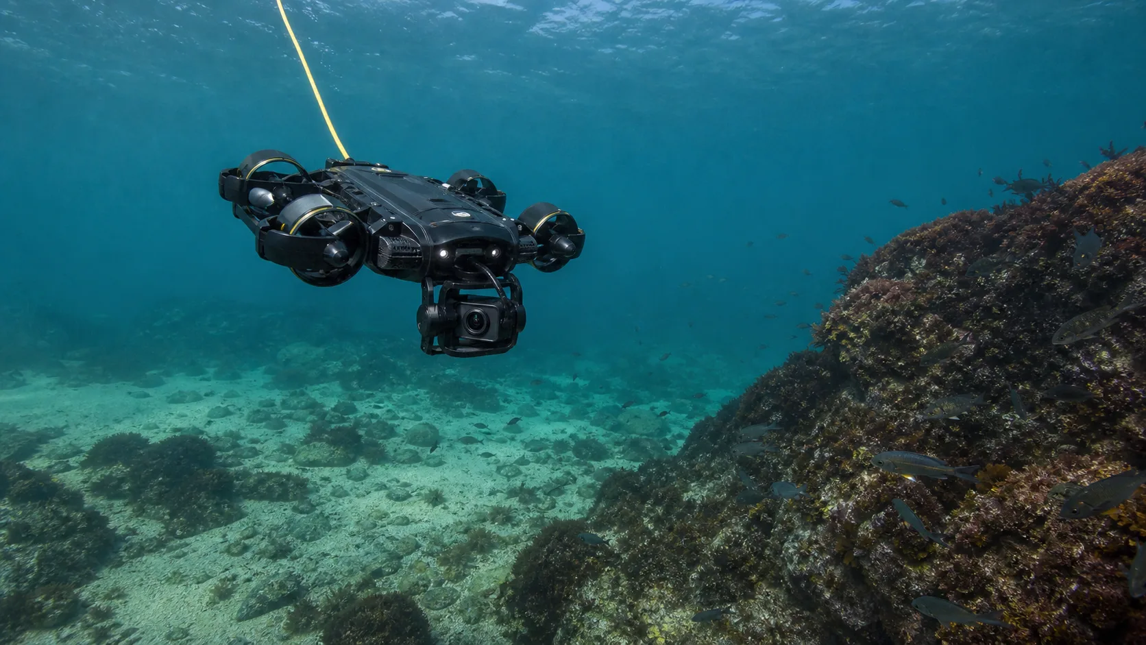 dron submarino localizador de peces