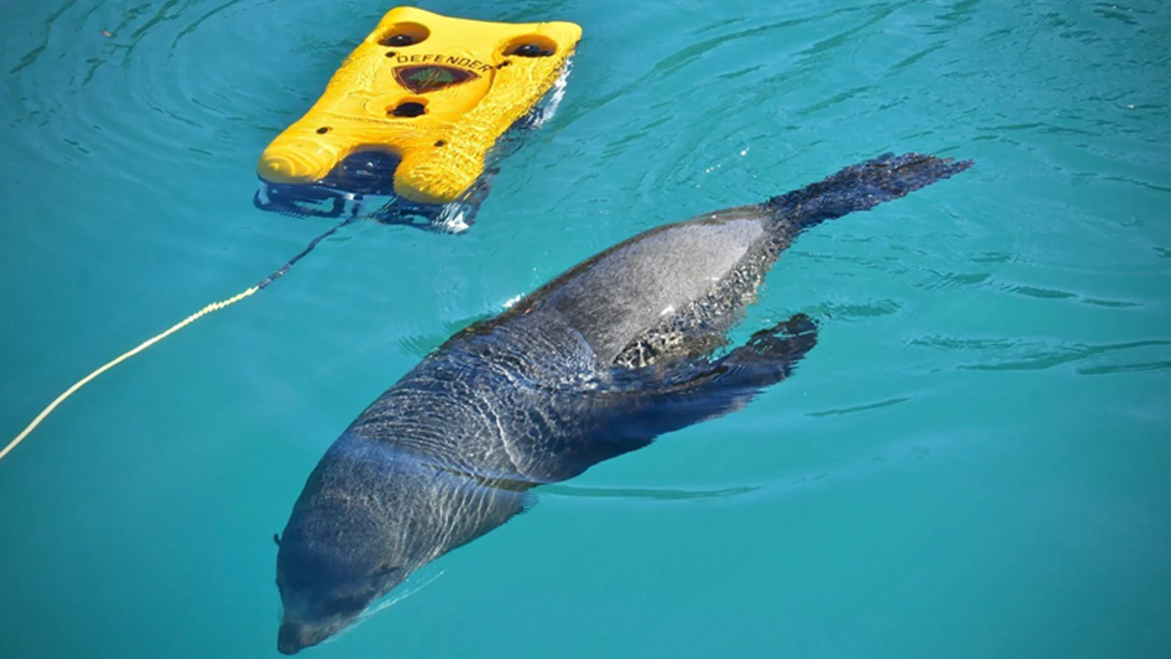 robot marino de siete propulsores para rescate